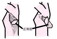 乳房再建術広背筋皮弁法）①.JPG