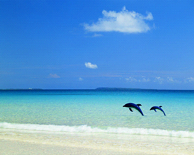 イルカと海.GIF